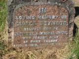 image of grave number 76822